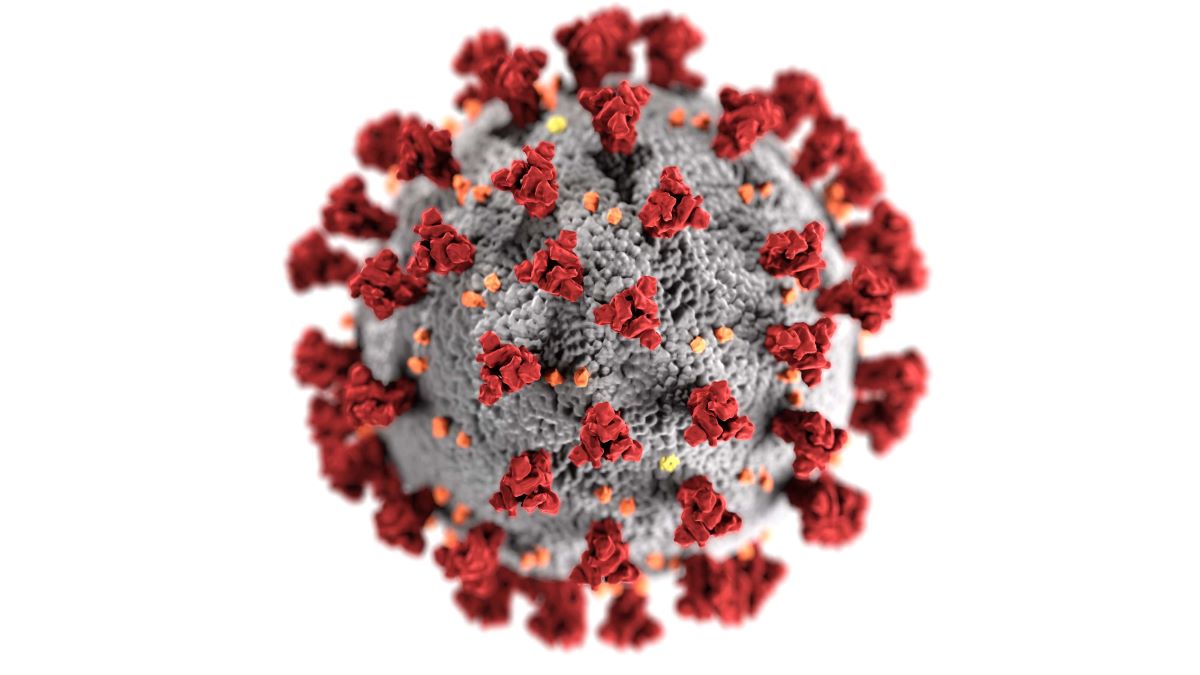 COVID-19 Variants Should We Be Worried