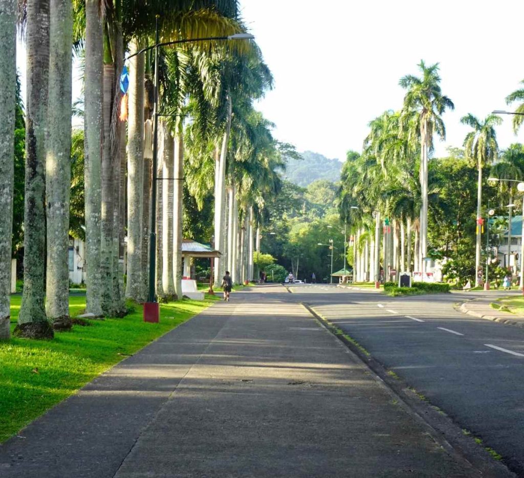 Crown Asia Laguna Trees