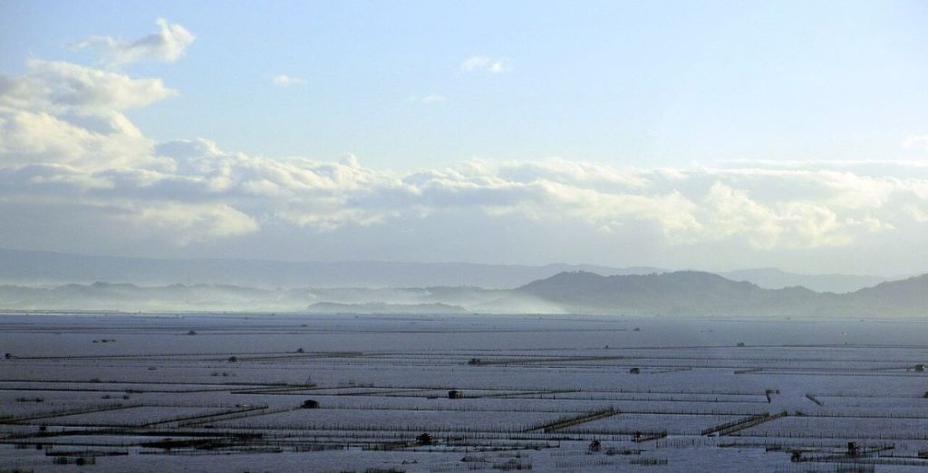 Laguna De Bay and Other Natural Resources in the Province