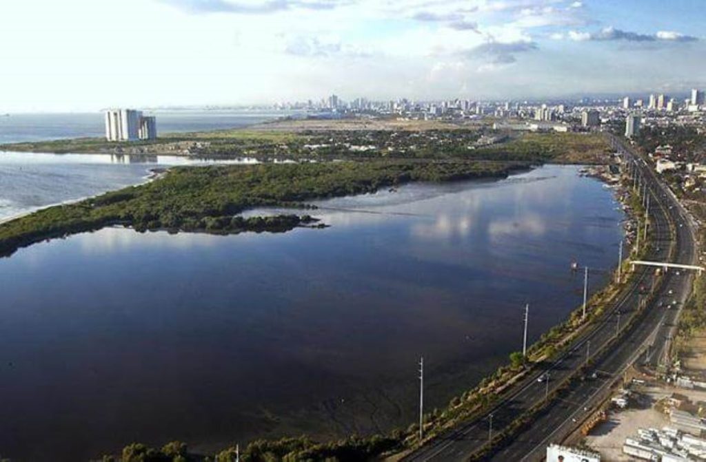 Las Piñas - Parañaque Critical Habitat