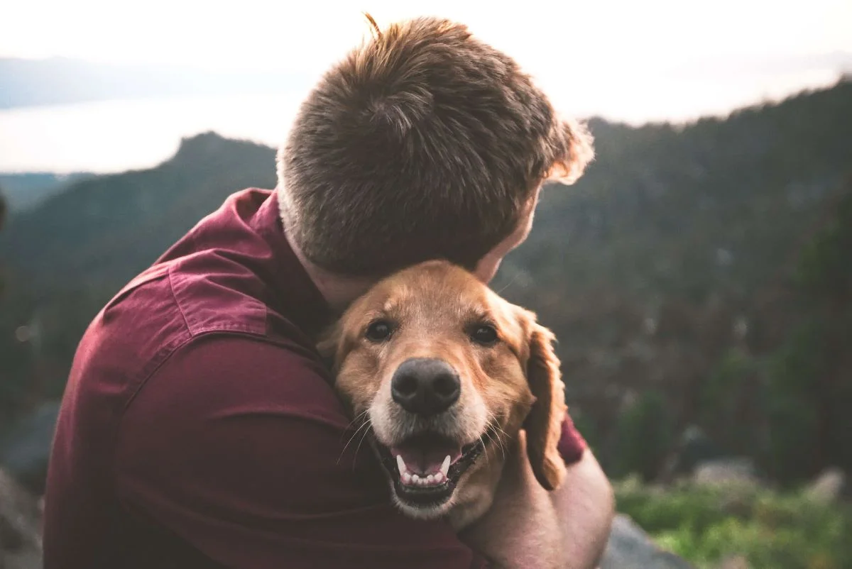 Why Having a Pet can Help Improve your Physical and Mental Health