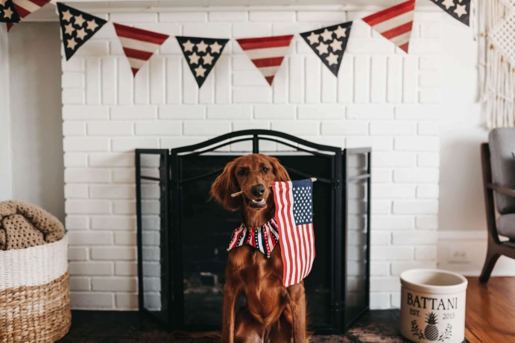 photo of a dog holding an American flag