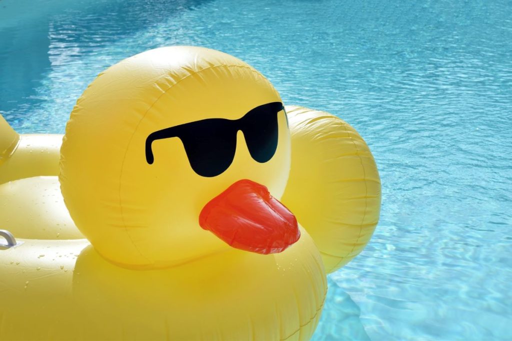 photo of a duck floatie in the pool