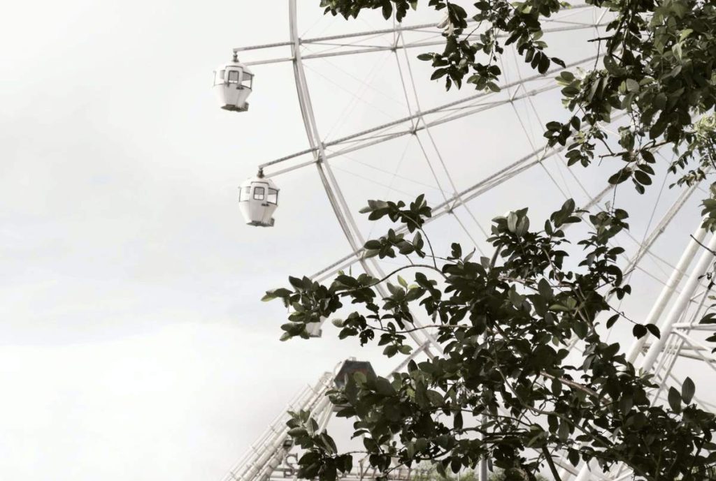 photo of a ferry's wheel