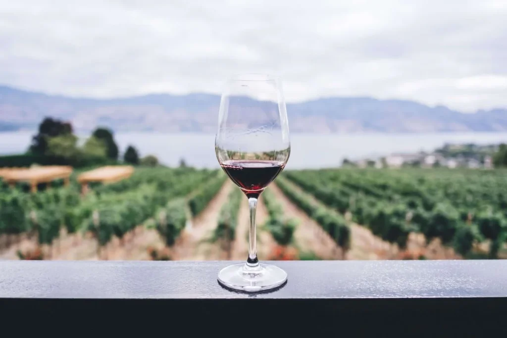 photo of a glass of red wine