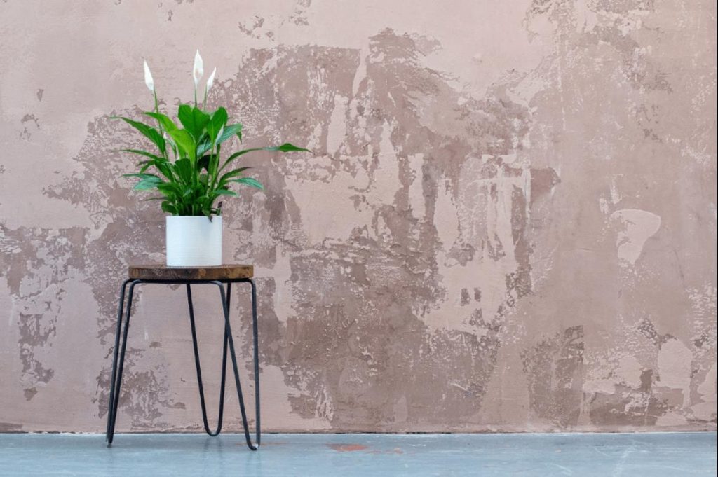 photo of a plant on a tall table