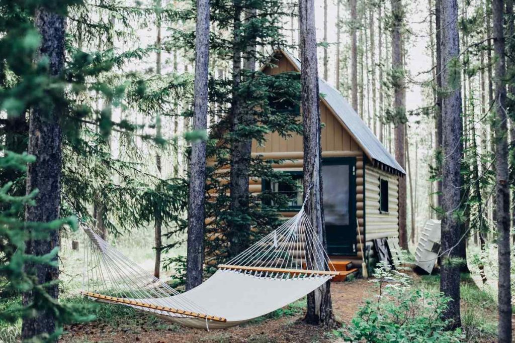 photo of a rustic cabin and a hammock