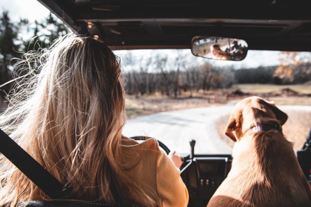 photo of a woman driving on the road with her dog