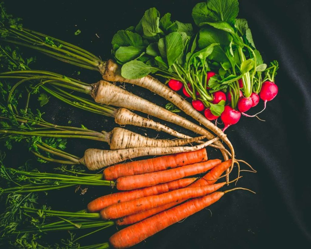 photo of radish, carrot