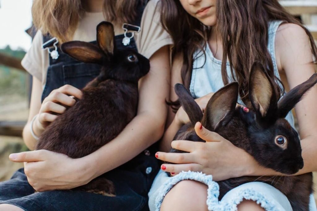 photo of two grls holding two black rabbits