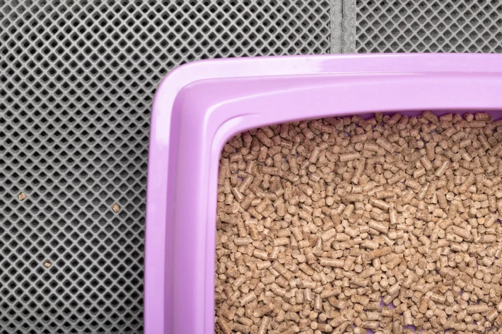 1. Pets require frequent bathroom breaks. 1.-Pets-require-frequent-bathroom-breaks.