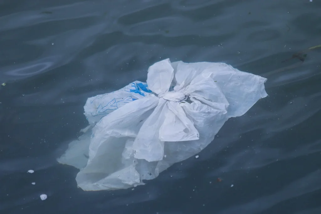 Avoid Using Plastic Bags