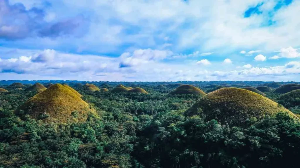 Bohol Island