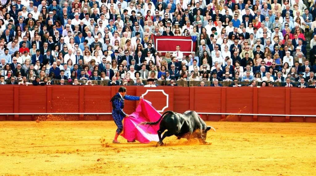 Bullfighting