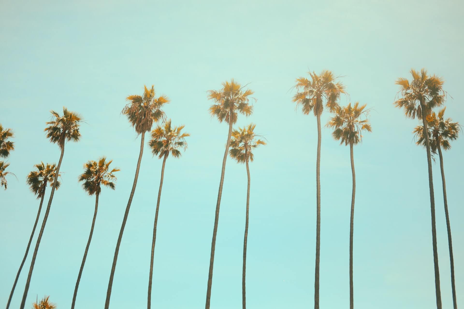 California Dreaming Everything You Should Definitely Try in California 2