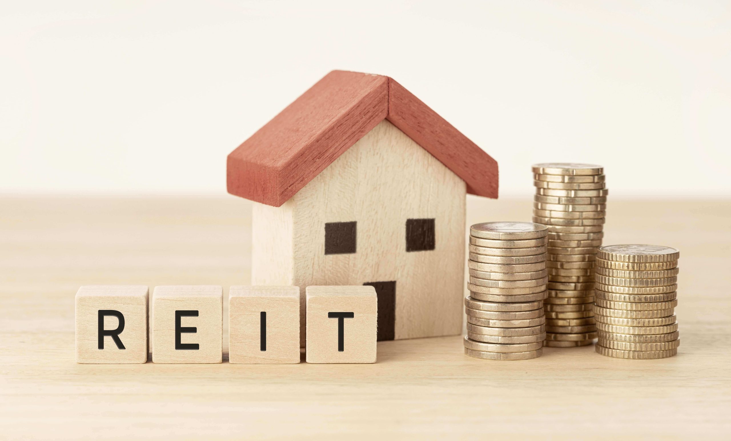 Everything You Need to Know About REIT