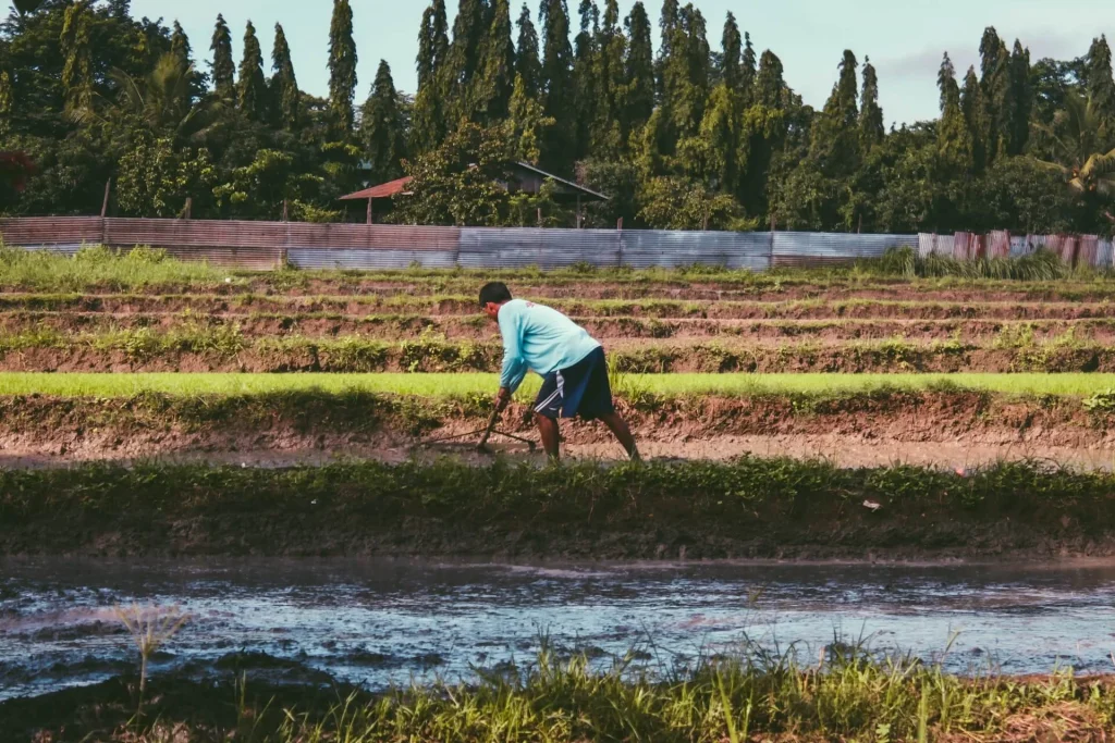 Farmland