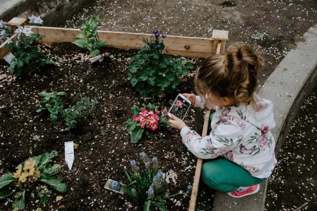 Food-Security-and-Local-Produce