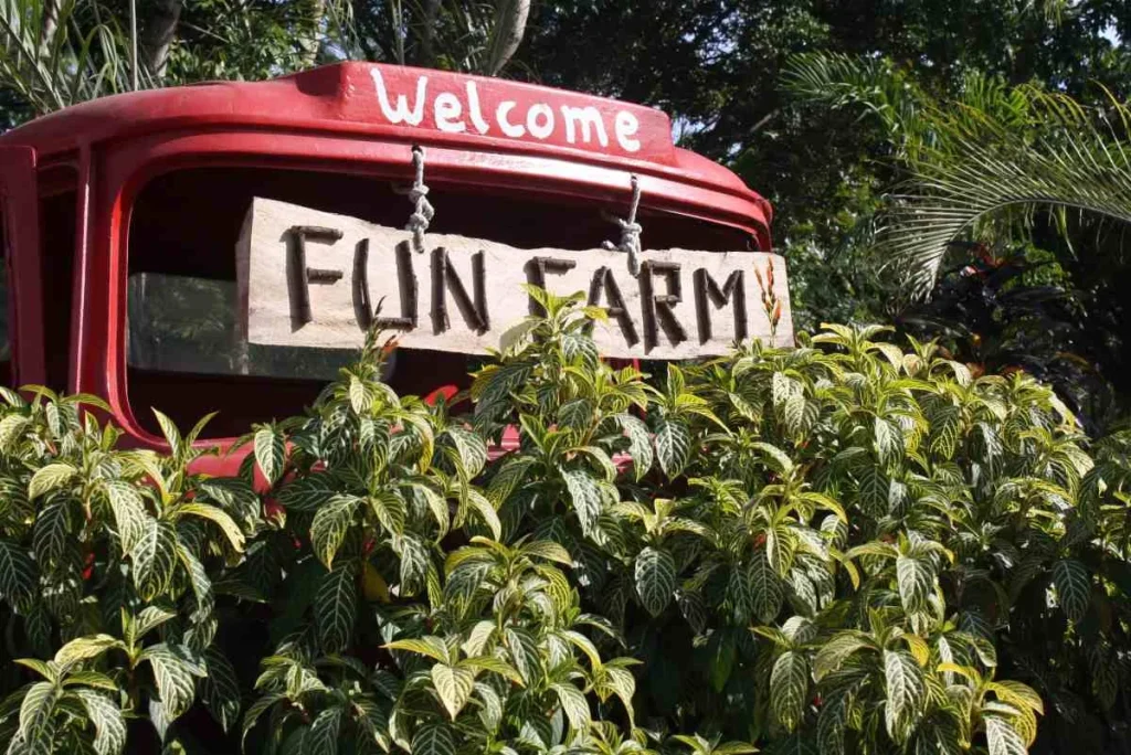 Fun-Farm-Sta-Elena