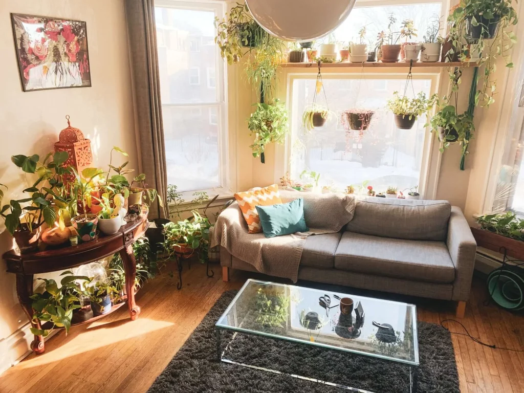 Keep Several Indoor Plants Keep-Several-Indoor-Plants
