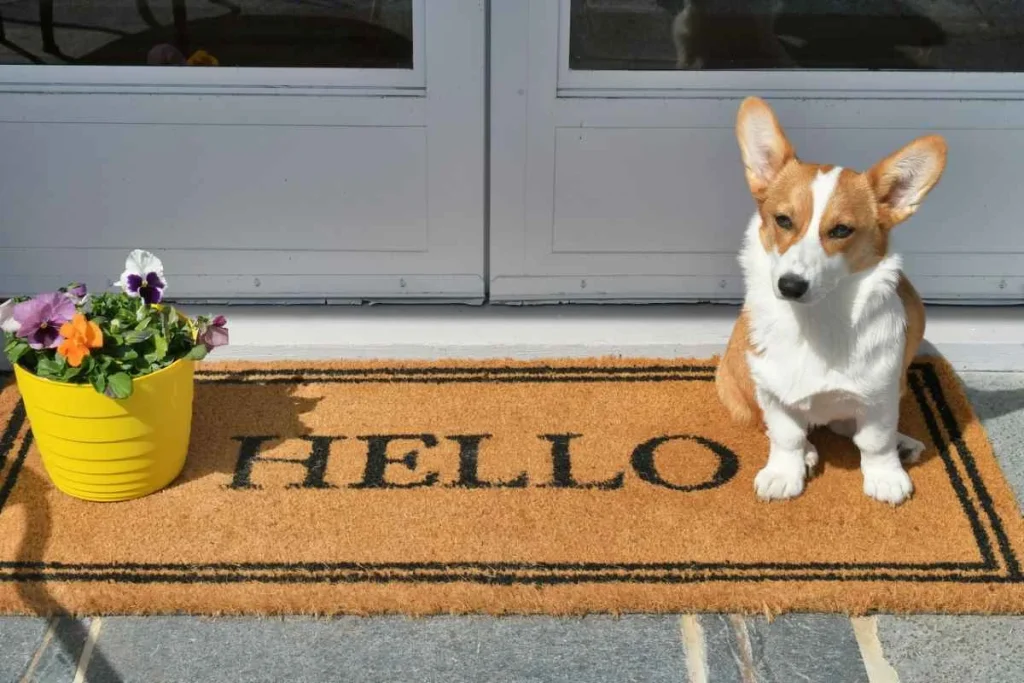 Let pets leave wet tracks inside the house. Let-pets-leave-wet-tracks-inside-the-house.