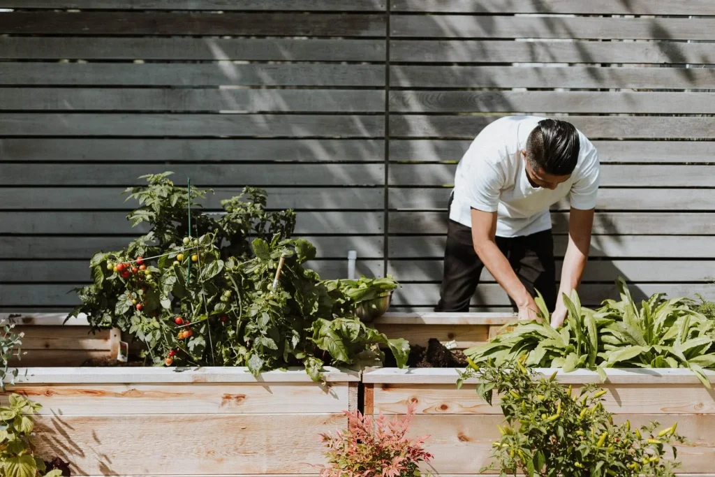 Make Your Own Vegetable Garden at Home