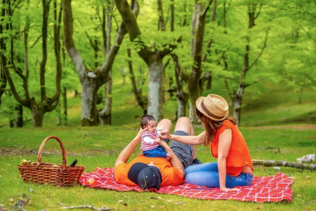 Picnic-with-newborn