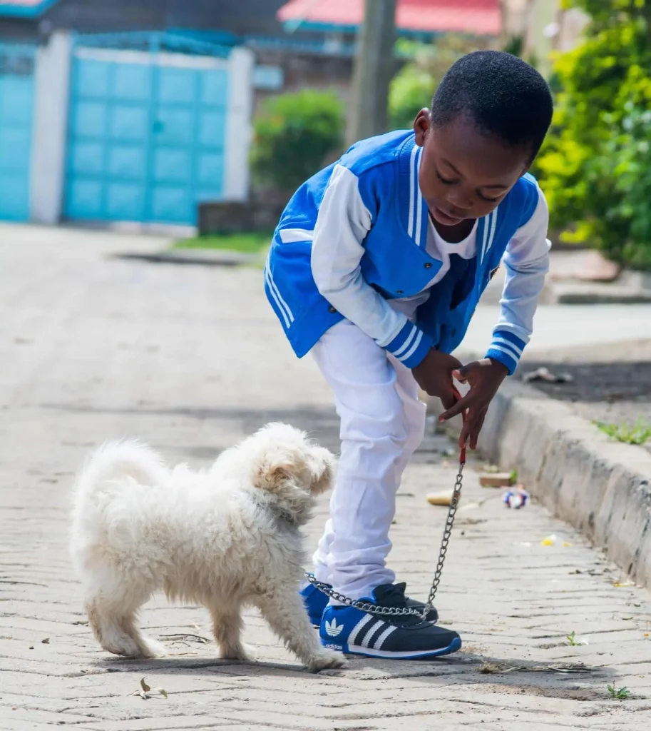 Proper-scheduling-of-daily-walk-exercises-for-the-pets