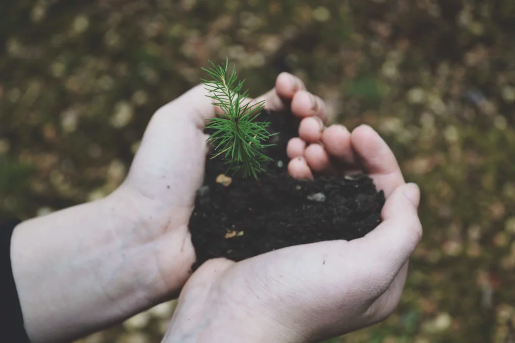Reconnect with mother earth Reconnect-with-mother-earth