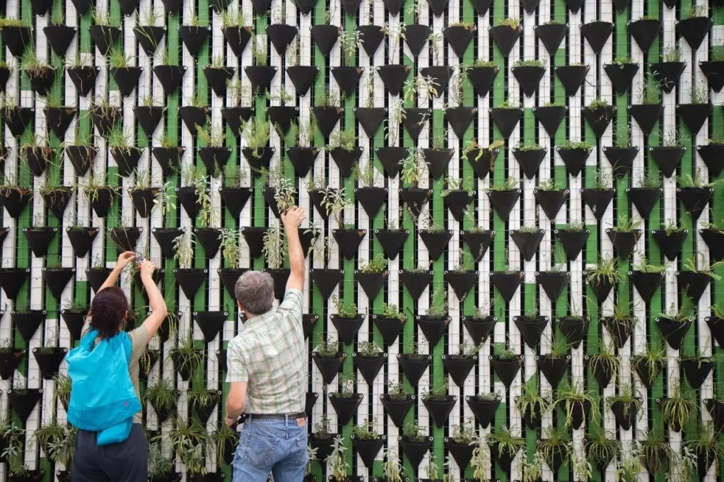 Save your back. A vertical garden saves you from bad posture Save-your-back.-A-vertical-garden-saves-you-from-bad-posture