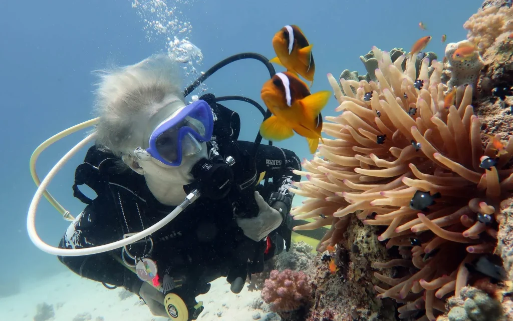 Scuba Diving Certification Scuba Diving Certification