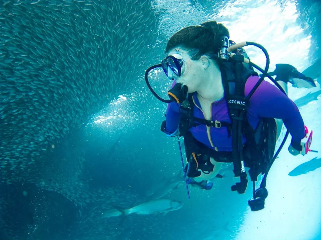 Should you buy or rent scuba diving gear Should you buy or rent scuba diving gear