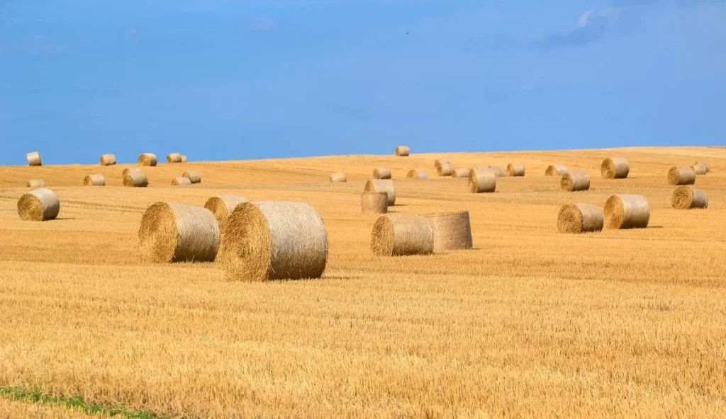 Straw-Bales