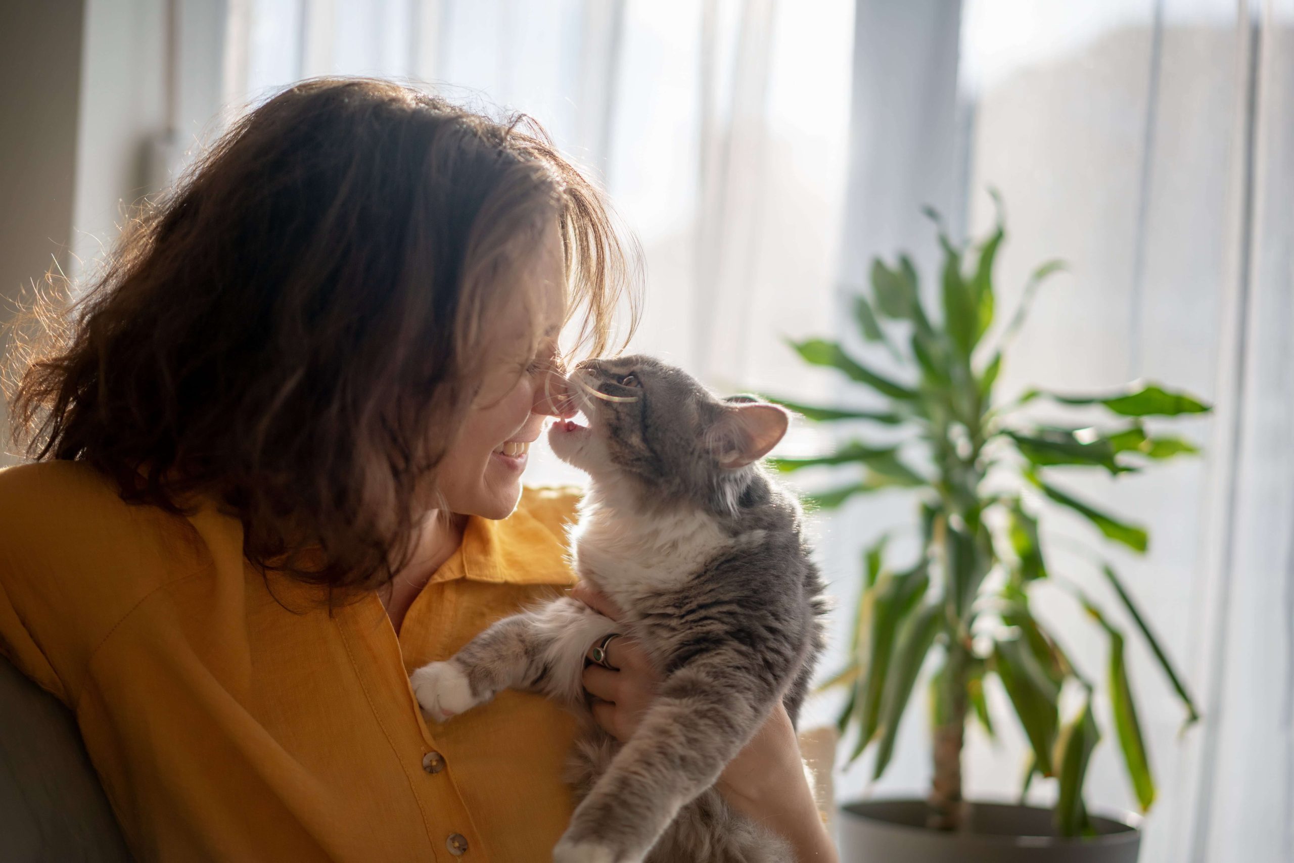 Taking Care of your Furry Friends Amidst the Summer Heat