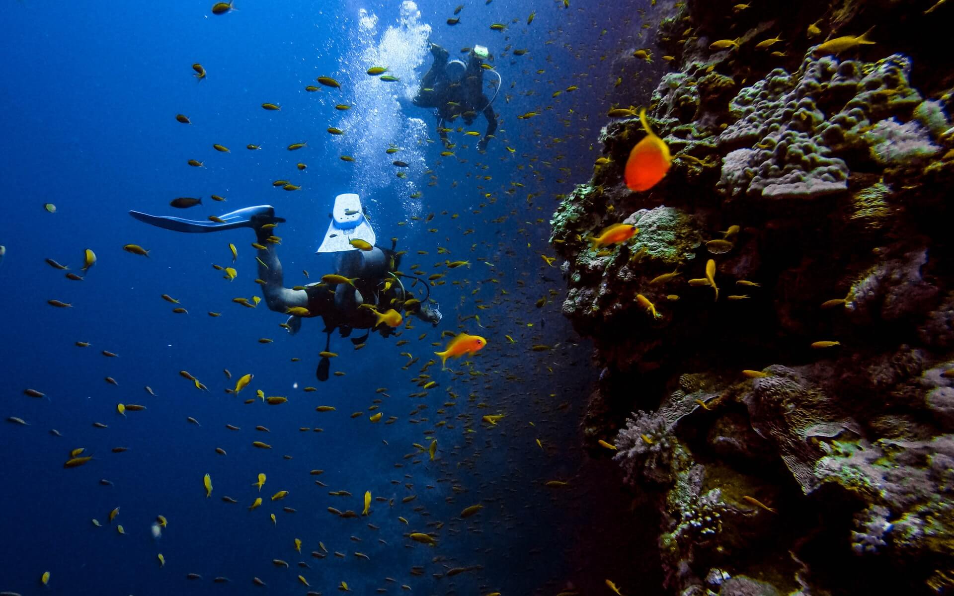 The World Underwater A Guide for Getting into Scuba Diving