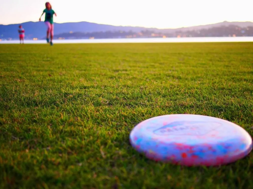 The disc is just a part of the game, there's a lot you need to know