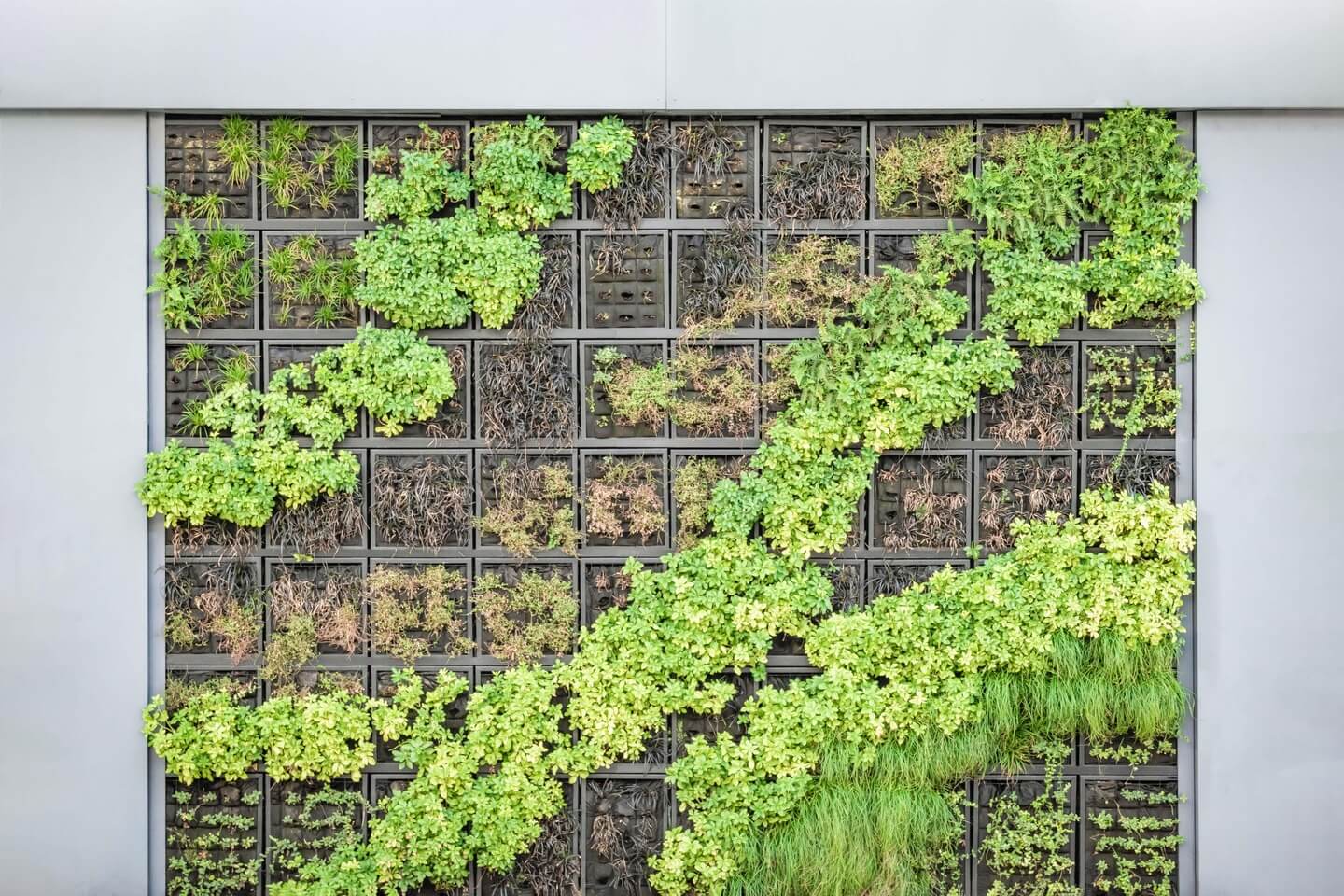 Things You Need to Know About Vertical Gardening