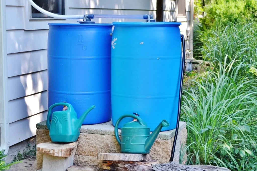What-Is-the-Primary-Purpose-of-a-Rainwater-Harvesting-System
