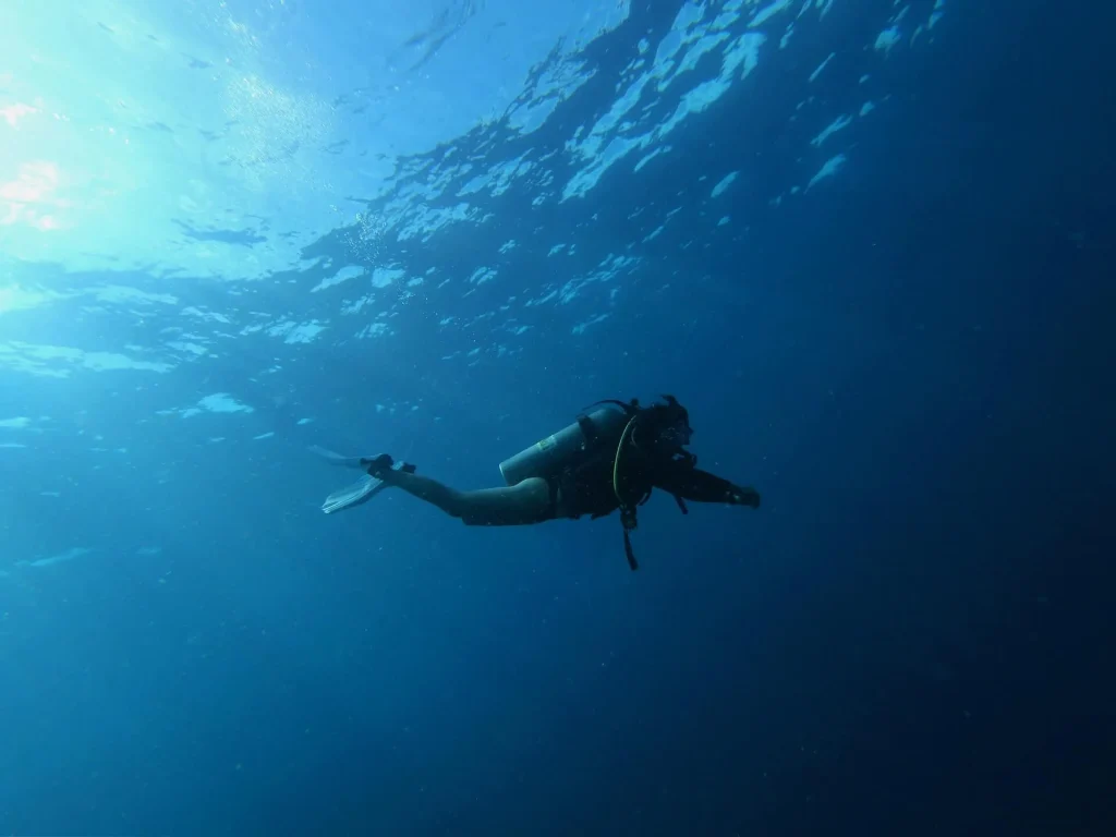 What You Need in the Pre Diving Situation What You Need in the Pre Diving Situation