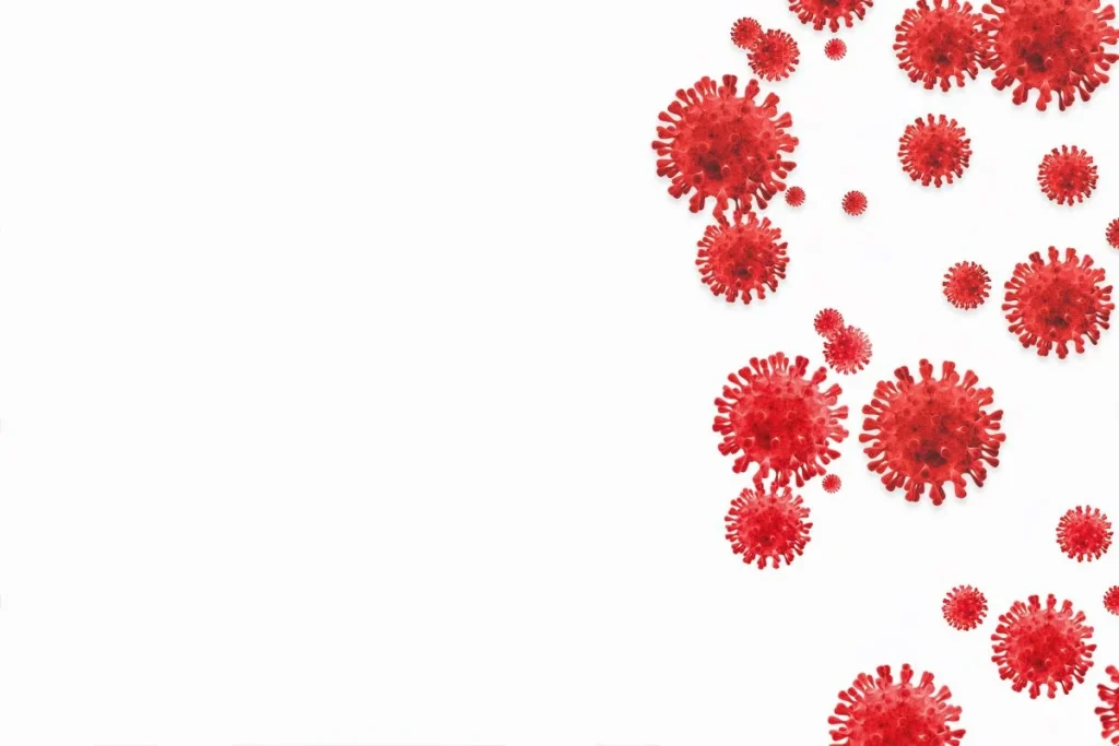 What is the Monkeypox Virus What-is-the-Monkeypox-Virus
