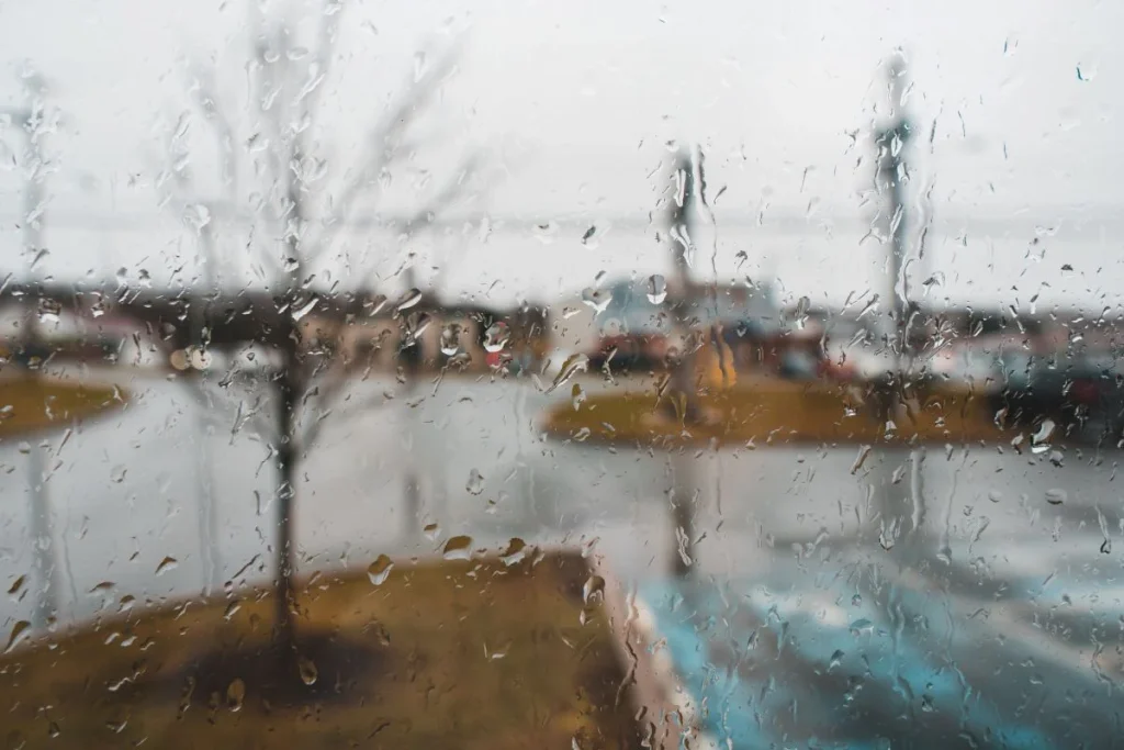 Which Seasons Are Rainy Which-Seasons-Are-Rainy