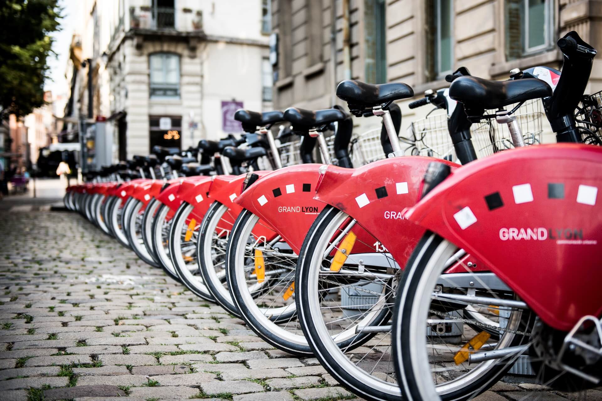 Would Bike Sharing Be the New Trend