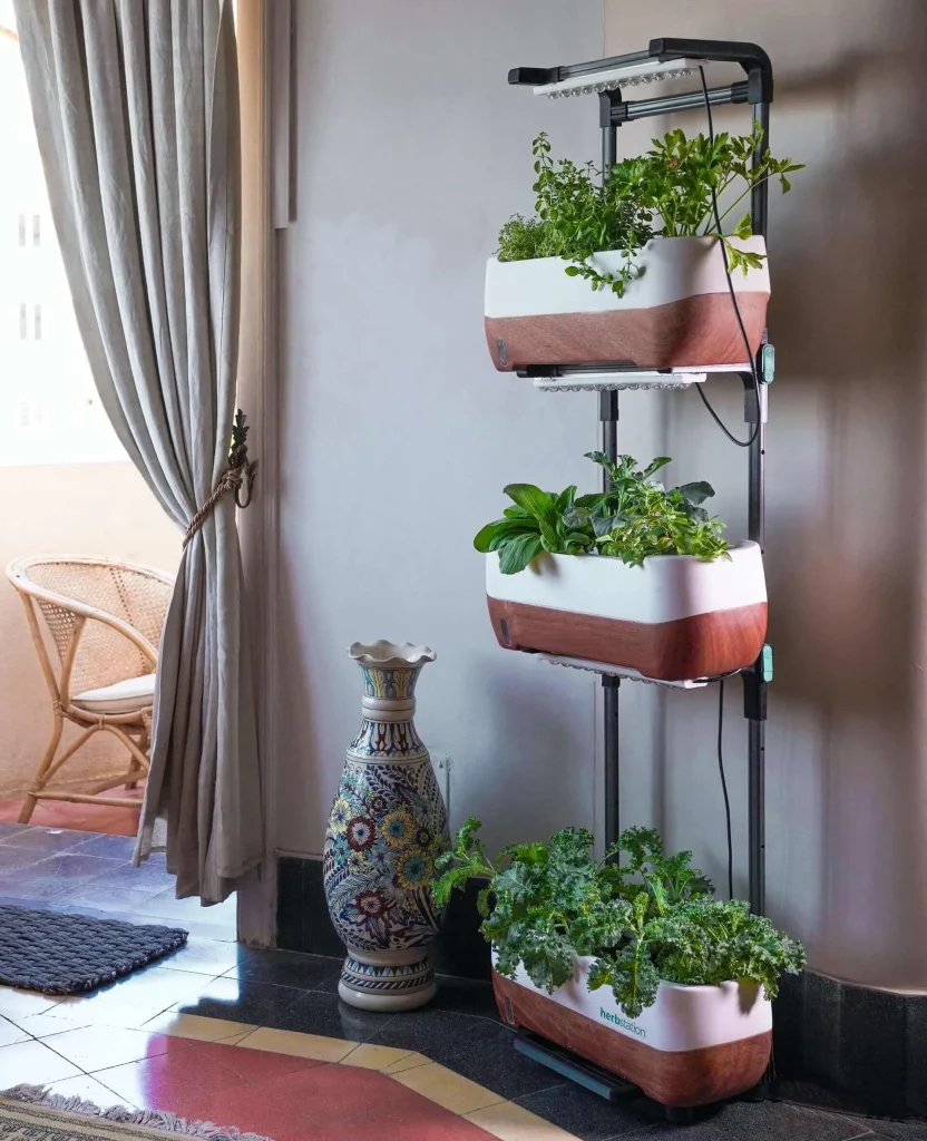 You are the coach and it is time to train your plants to grow vertically with these vertical garden design ideas You-are-the-coach-and-it-is-time-to-train-your-plants-to-grow-vertically-with-these-vertical-garden-design-ideas