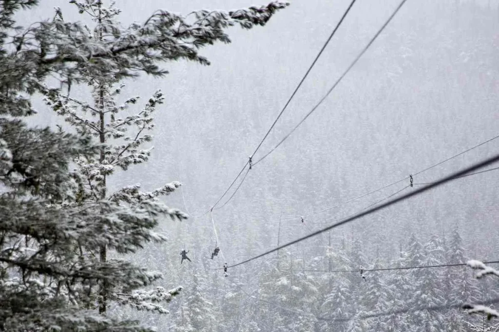 Zip Lining