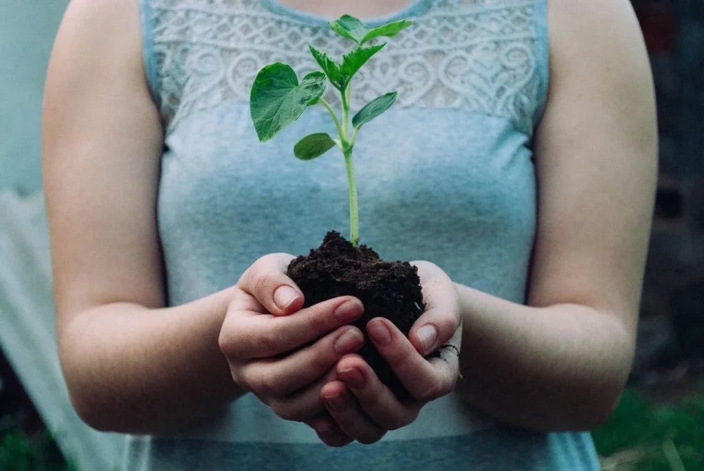 photo of a child holding a plant