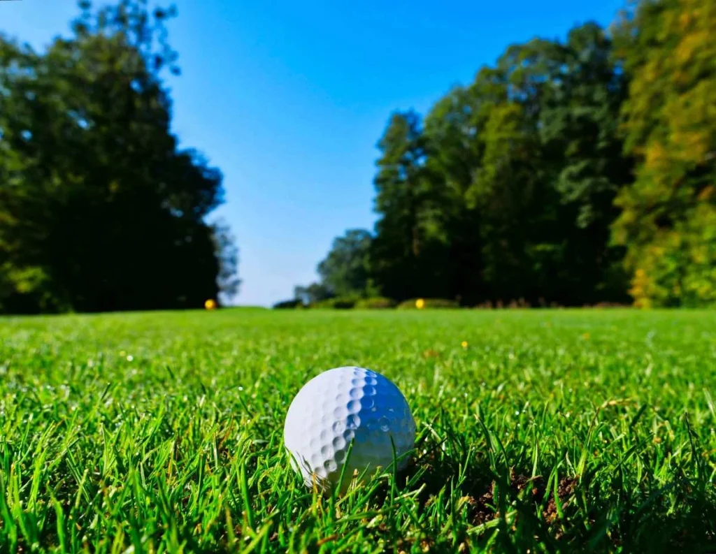 photo of a golf ball