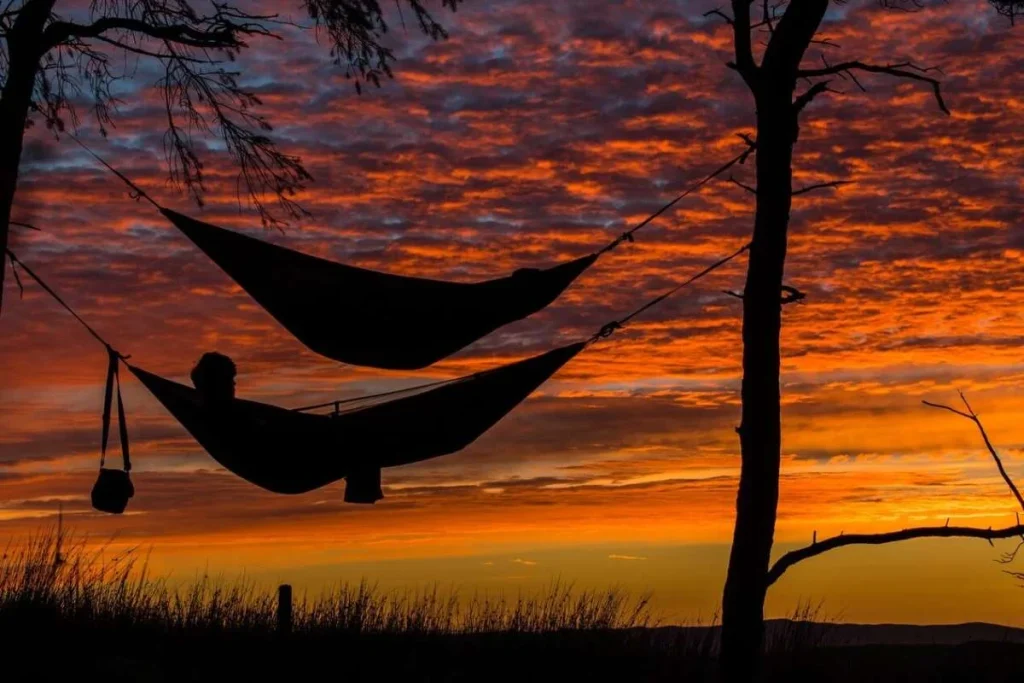 photo of a twin hammock