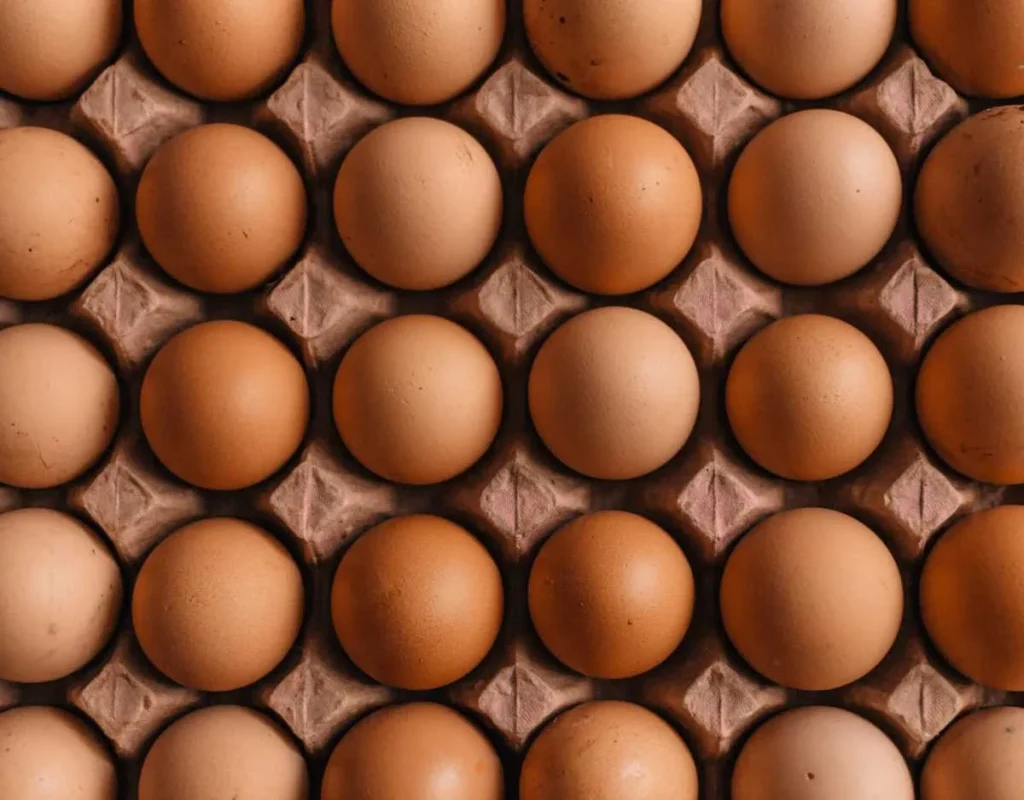 photo of eggs