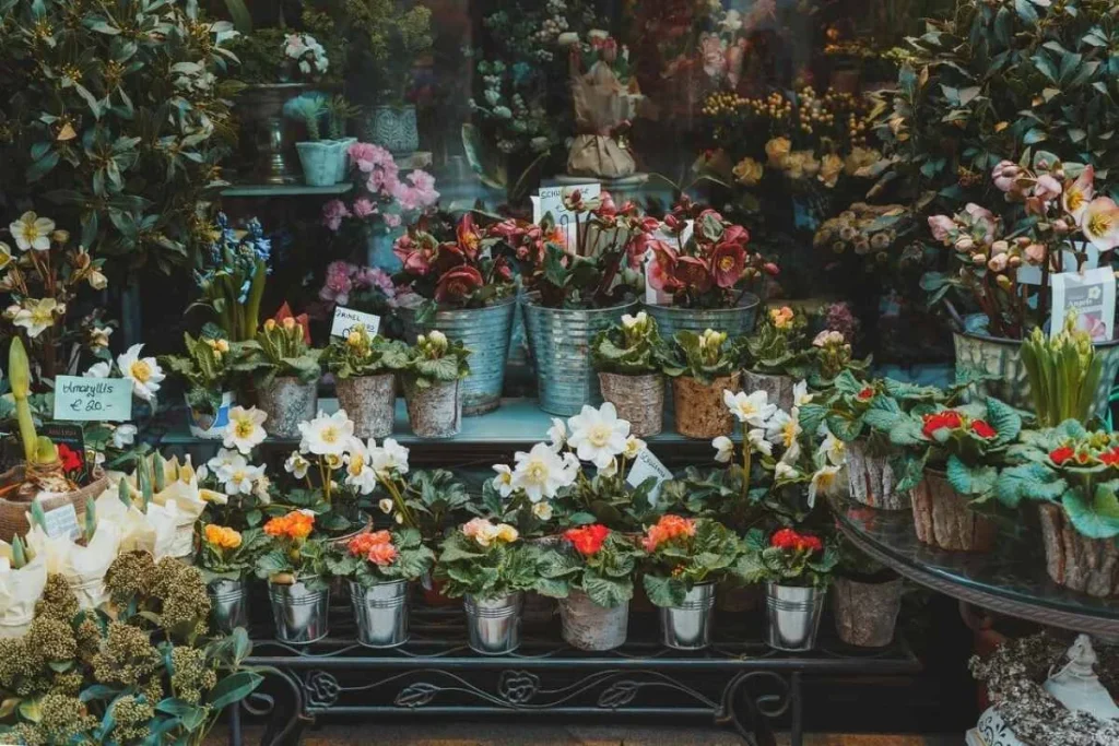 photo of flowers in vases for sale