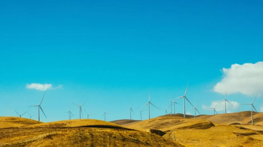 photo of windmills